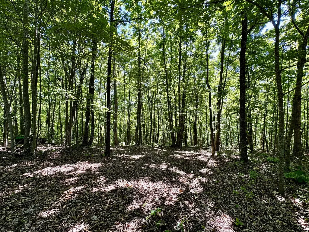 2177 Cannonball Road Somerset KY 42501