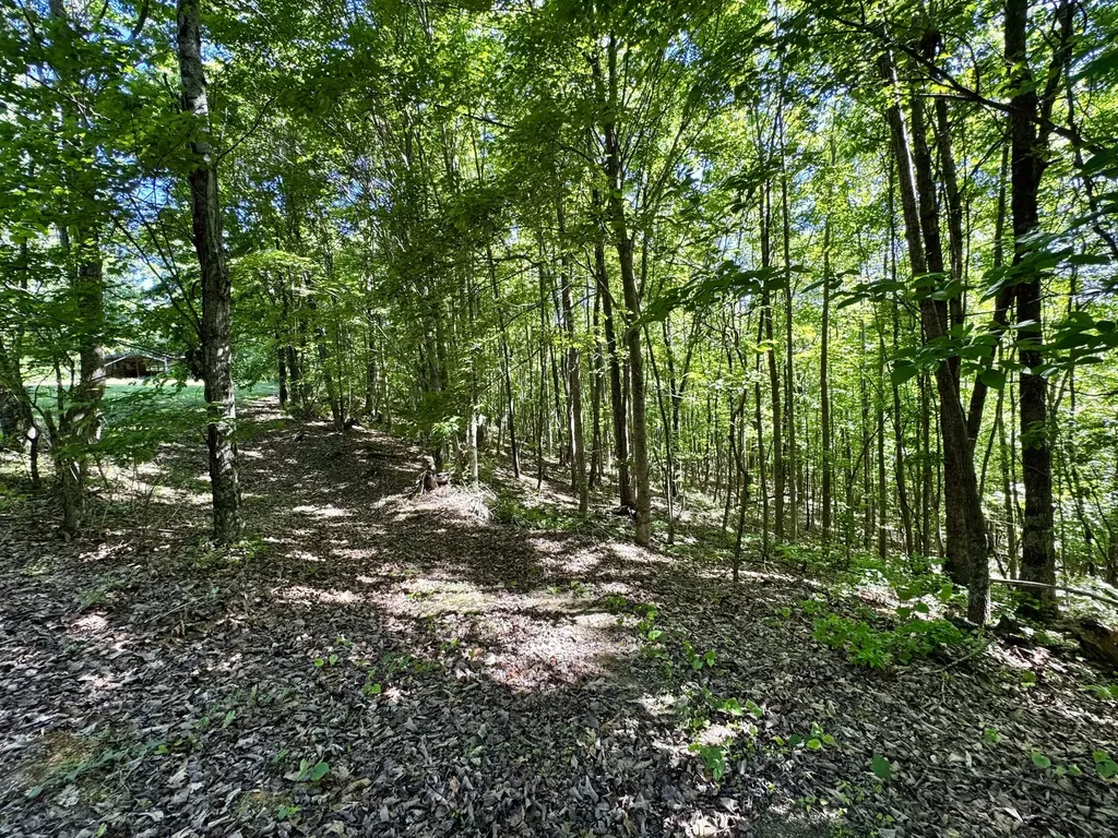 2177 Cannonball Road Somerset KY 42501
