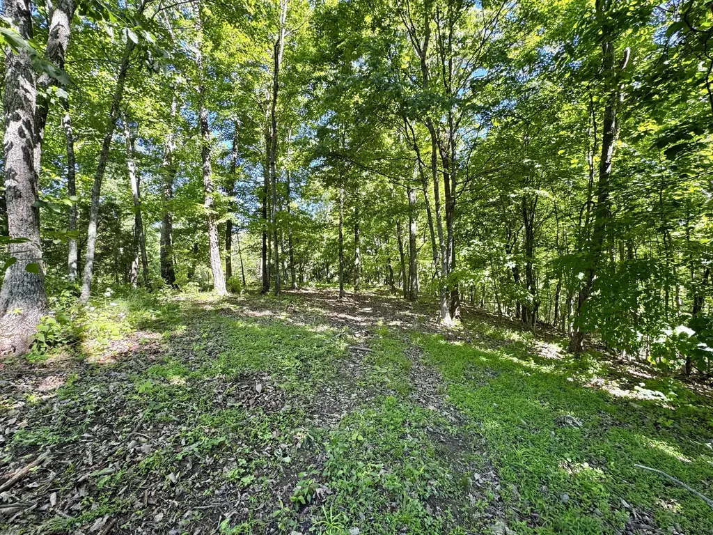 2177 Cannonball Road Somerset KY 42501