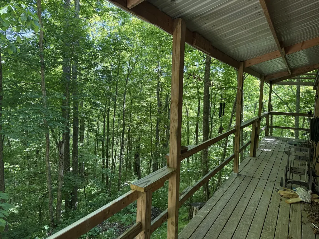299 Igo Road Morehead KY 40351