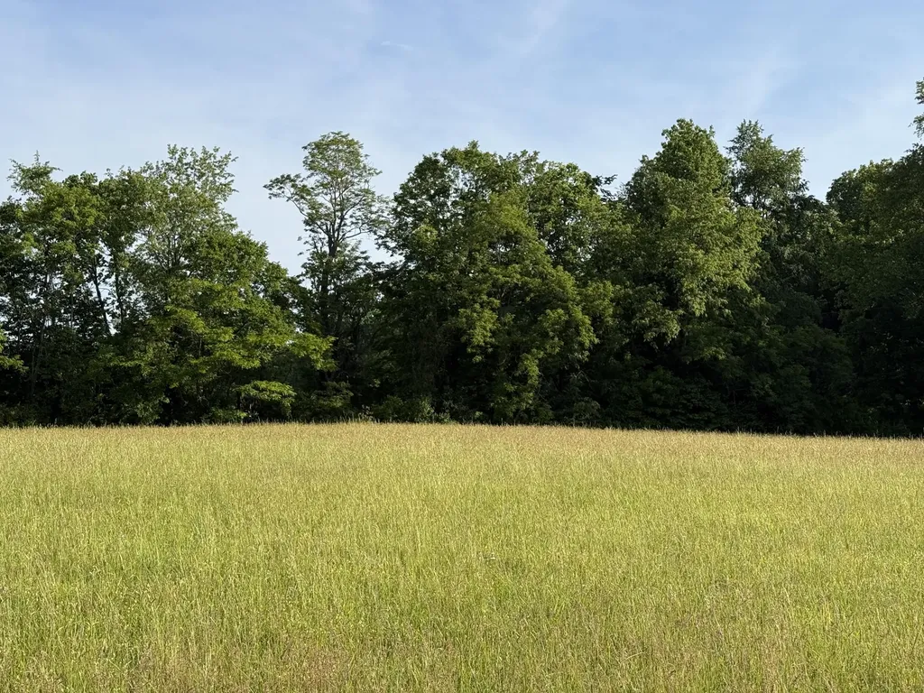 Tbd Lewis Ferry Road Frankfort KY 40601