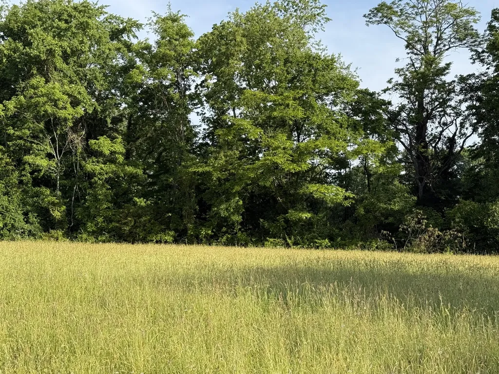 Tbd Lewis Ferry Road Frankfort KY 40601
