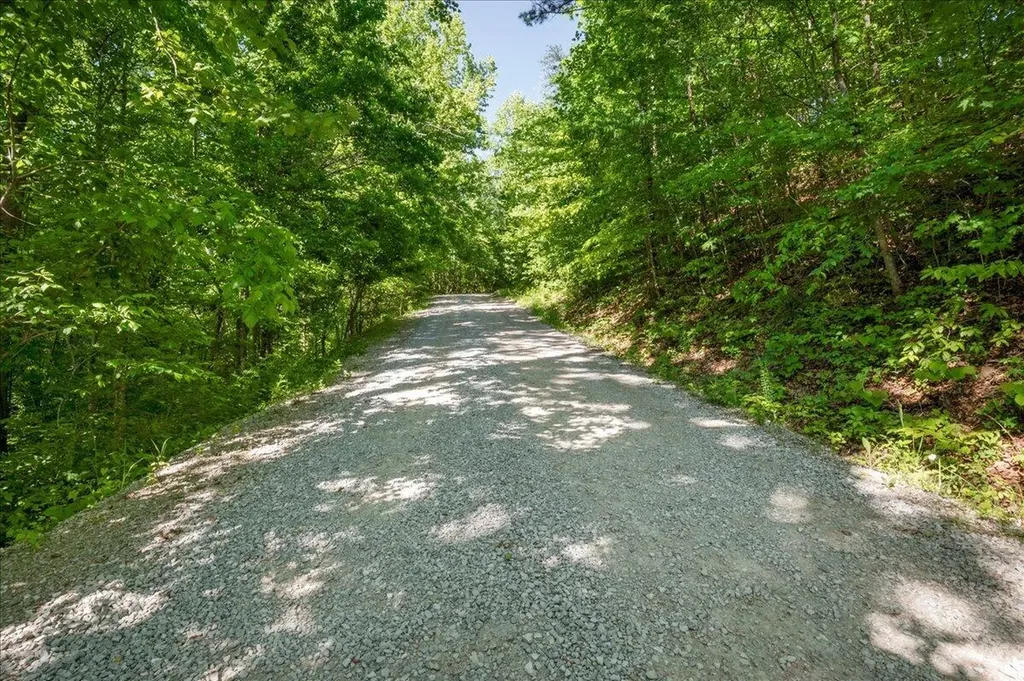 12149 E Highway 92 Williamsburg KY 40769