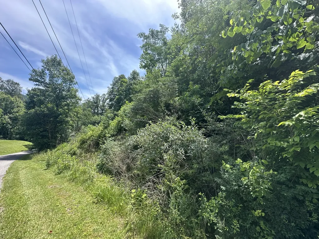 Lots 26, 27 Richmond Hill Estates Van Lear KY 41265