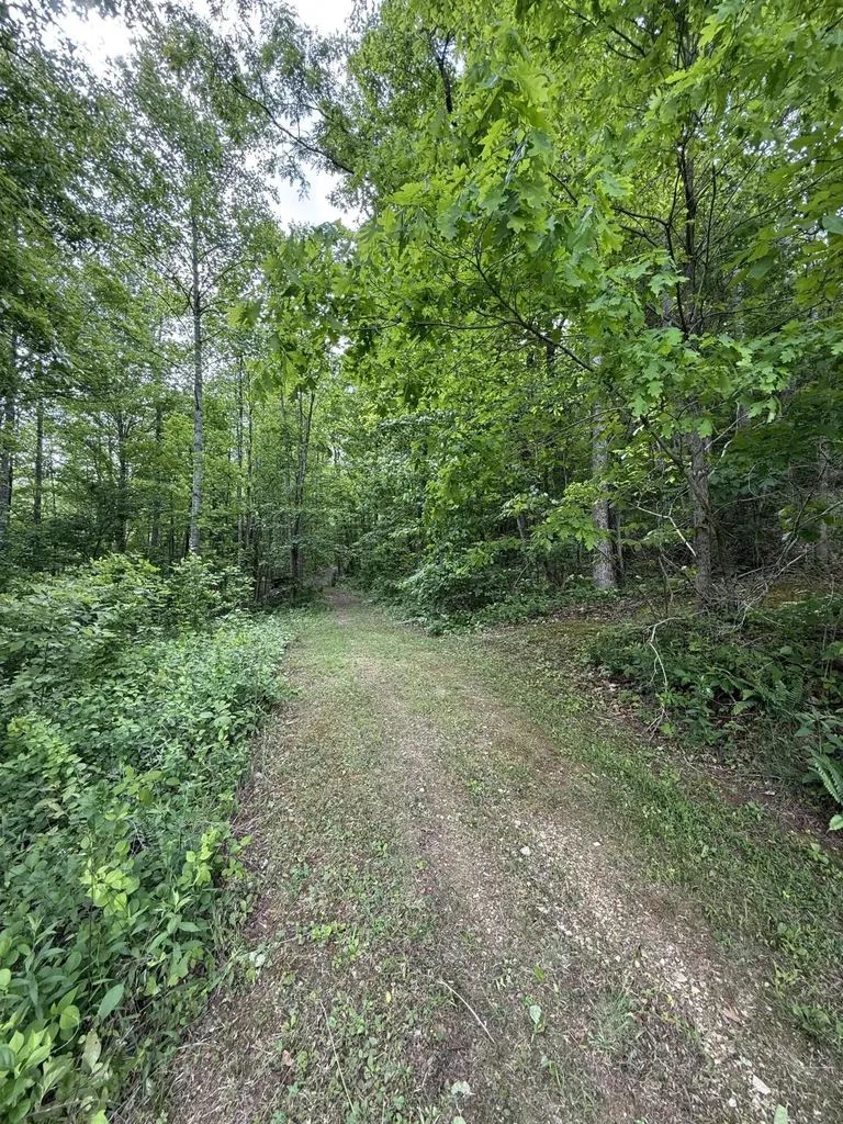 1729 Calico Road Berea KY 40403