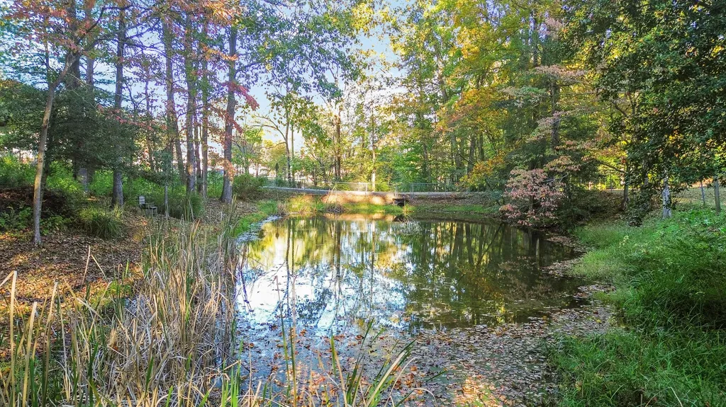24 Beehive Lane Corbin KY 40701