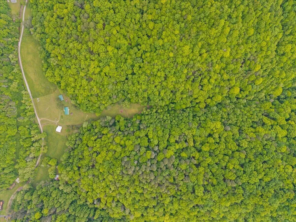 1775 Kingdom Come Creek Road Whitesburg KY 41858