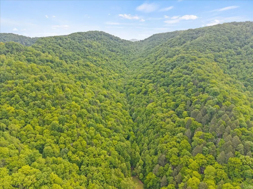 1775 Kingdom Come Creek Road Whitesburg KY 41858