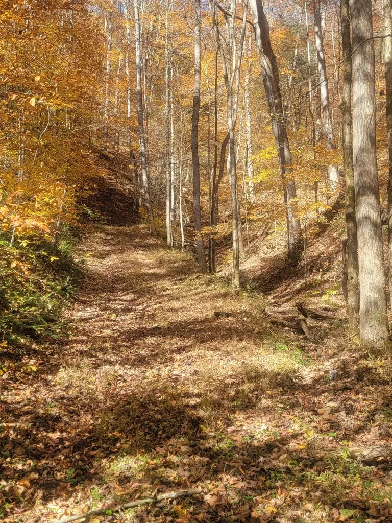 1775 Kingdom Come Creek Road Whitesburg KY 41858