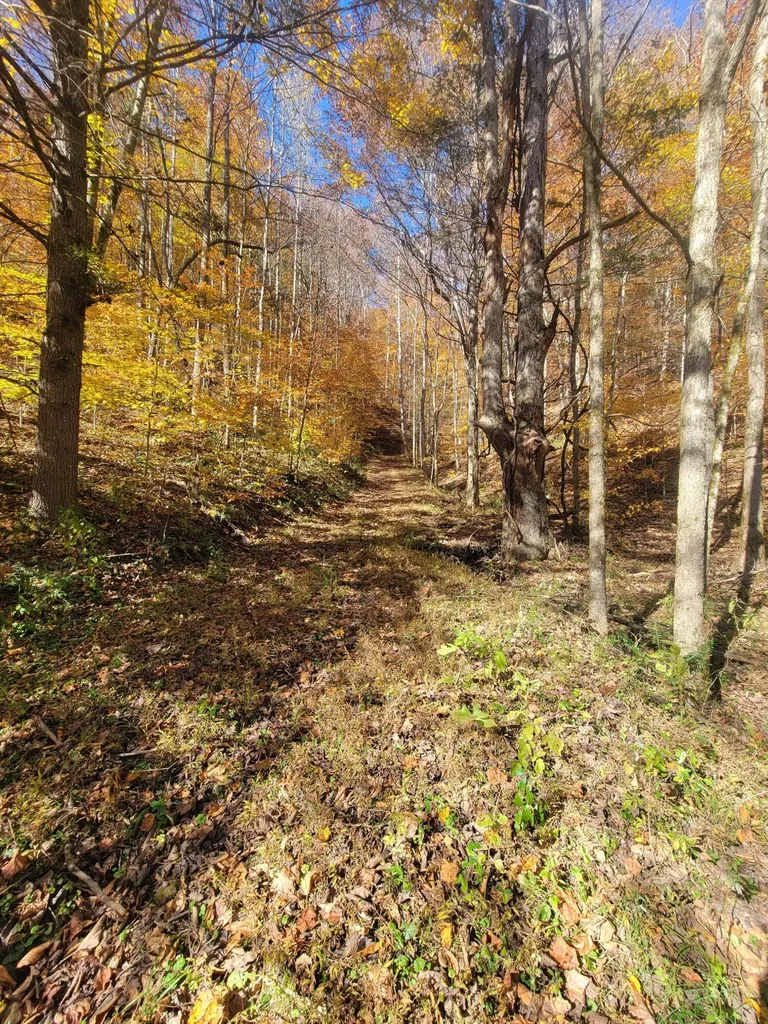 1775 Kingdom Come Creek Road Whitesburg KY 41858