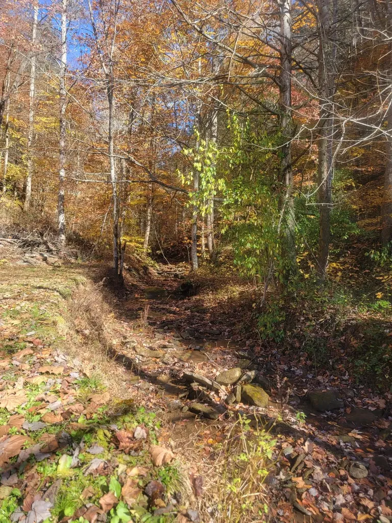 1775 Kingdom Come Creek Road Whitesburg KY 41858