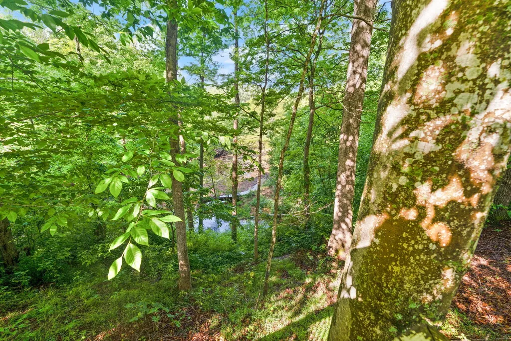187 Woodside Drive Somerset KY 42503