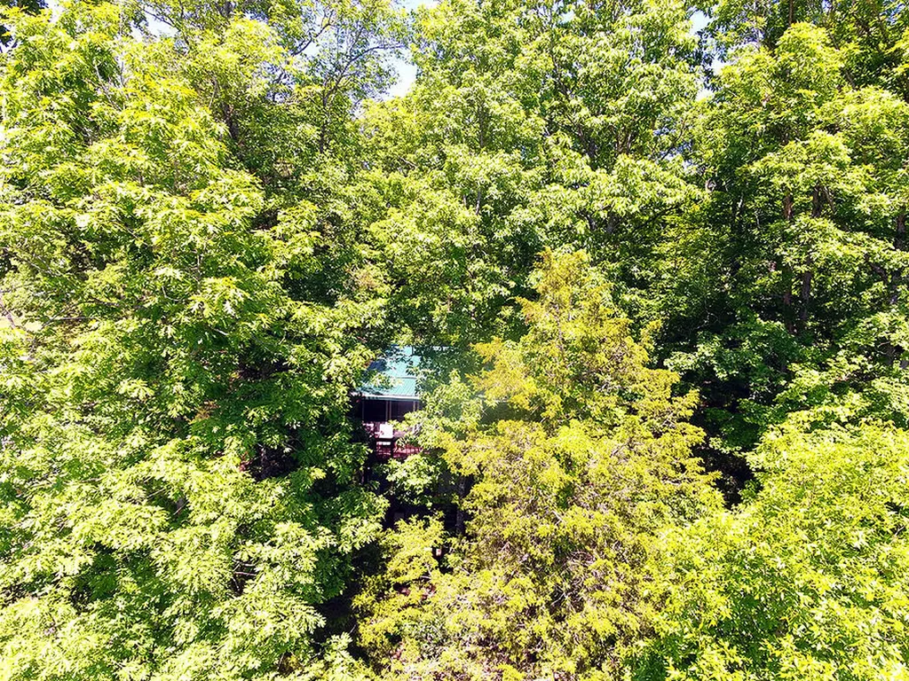 116 Cabin Drive Russell Springs KY 42642