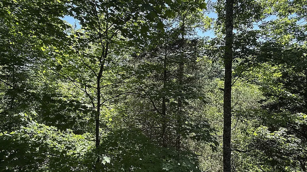 116 Cabin Drive Russell Springs KY 42642