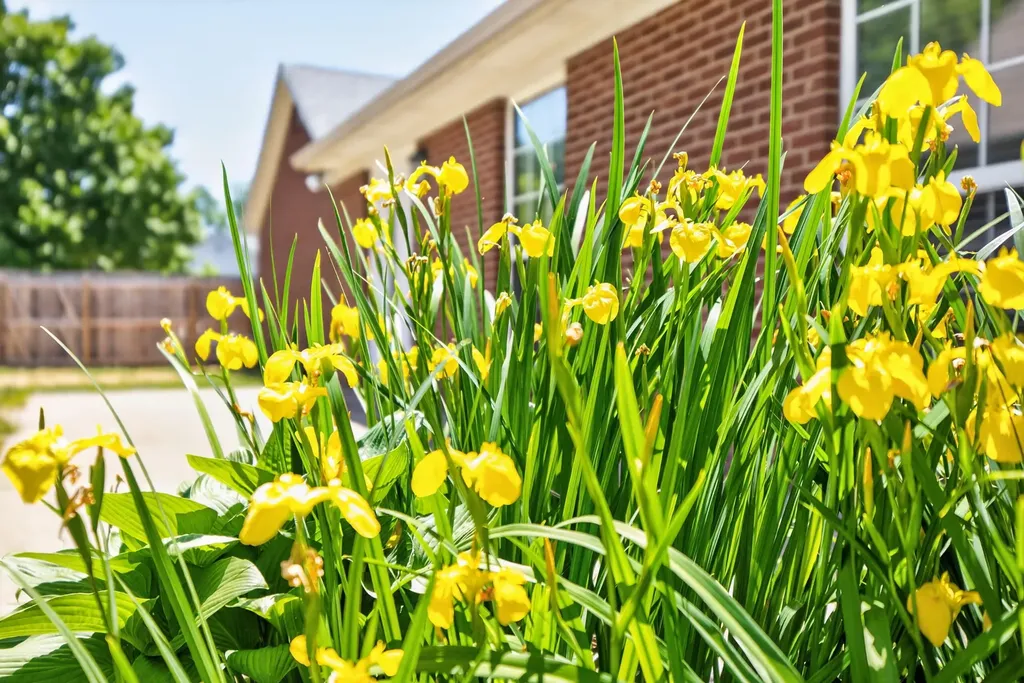 2181 Palomar Trace Drive Lexington KY 40513