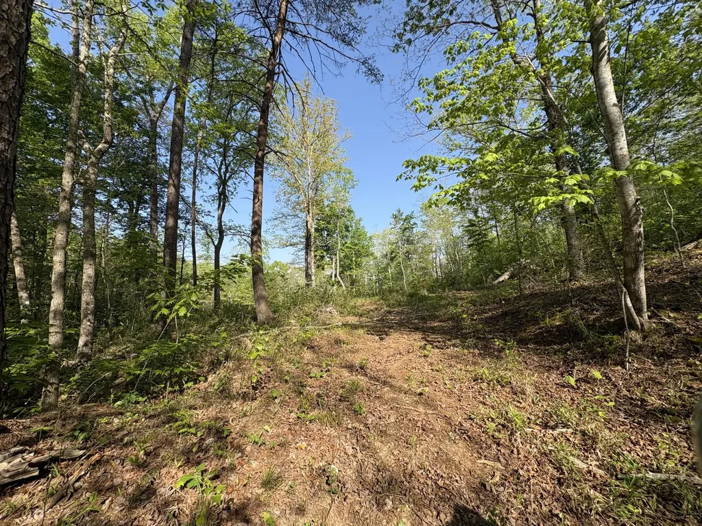 Tract 10 Rawlings/upper Rader Road Manchester KY 40962