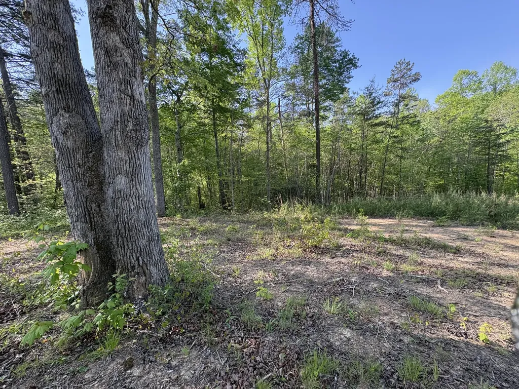 Tract 10 Rawlings/upper Rader Road Manchester KY 40962