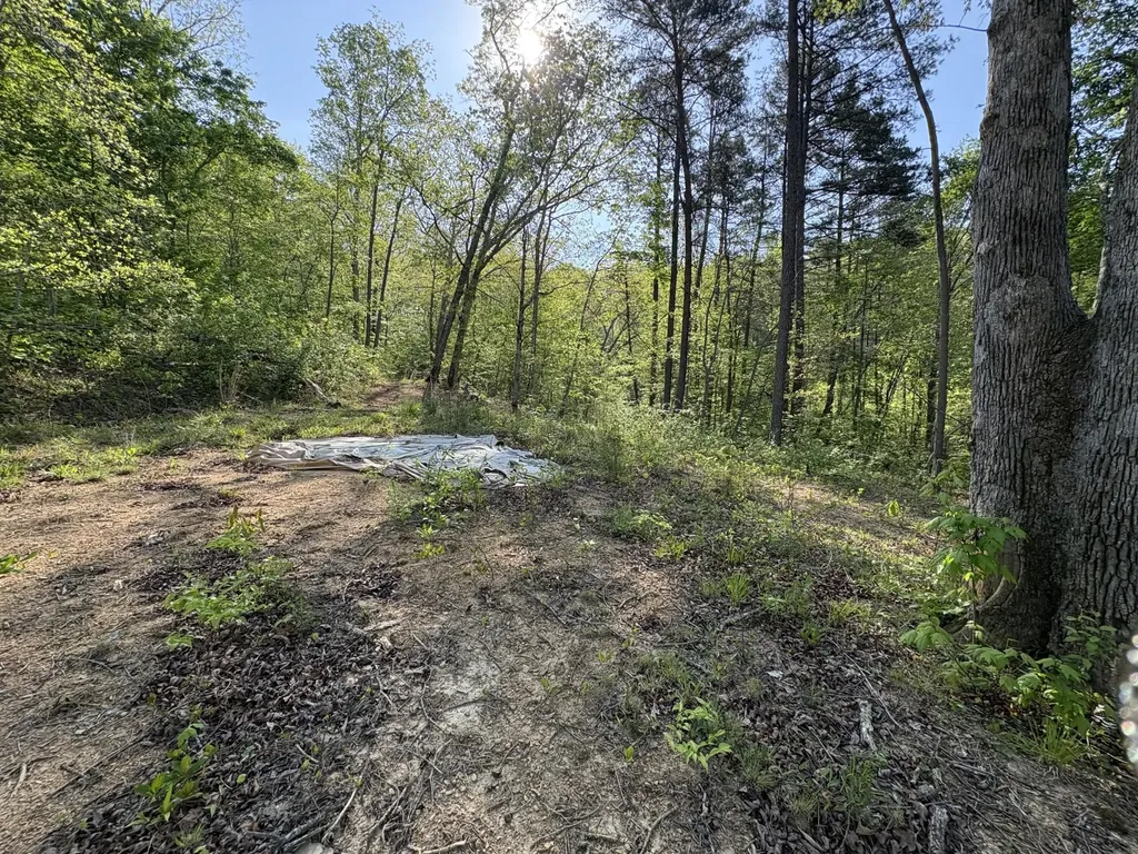 Tract 10 Rawlings/upper Rader Road Manchester KY 40962