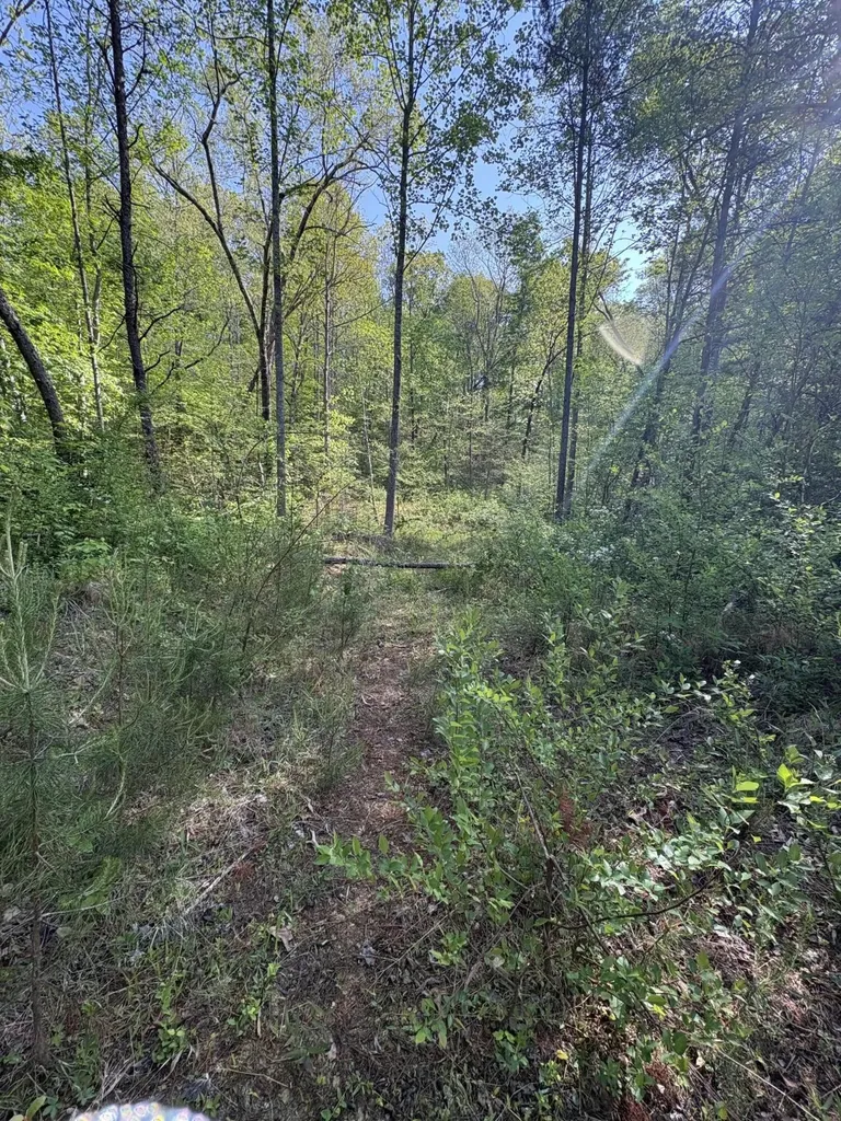 Tract 10 Rawlings/upper Rader Road Manchester KY 40962