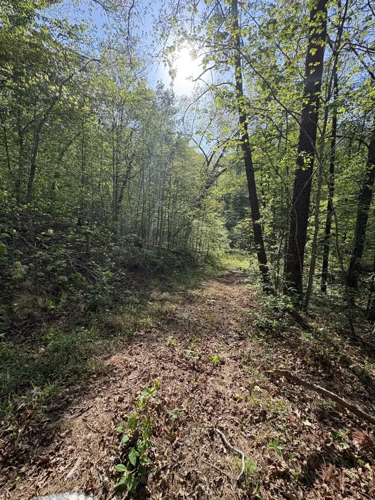 Tract 10 Rawlings/upper Rader Road Manchester KY 40962