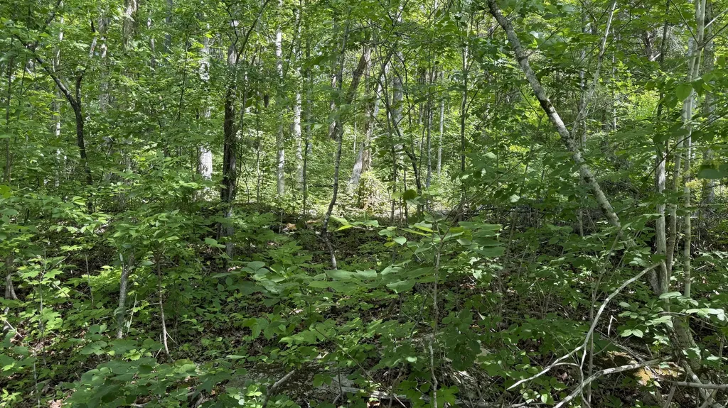 1005 Garland Road Burnside KY 42519