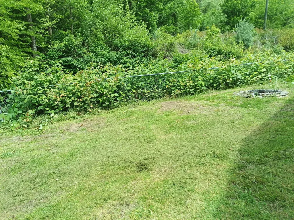 4883 Marrowbone Creek Road Elkhorn City KY 41522
