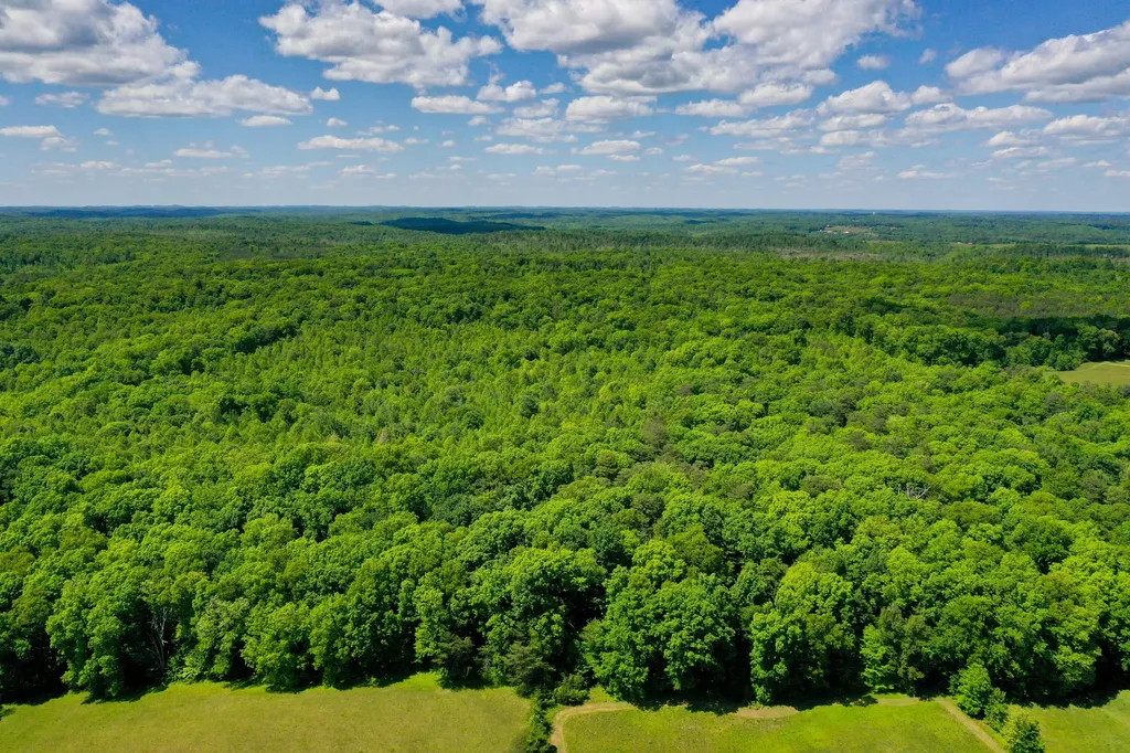 6330 W Laurel Road London KY 40741