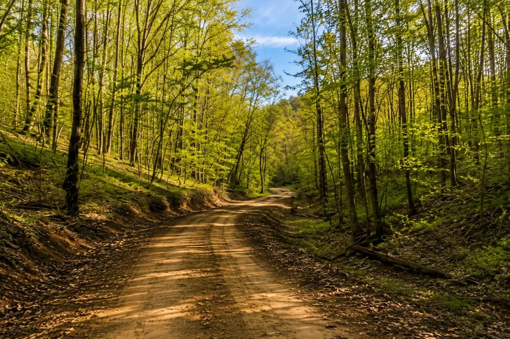 0 Blackstone Mountain Phase II Tract 72 Manchester KY 40962