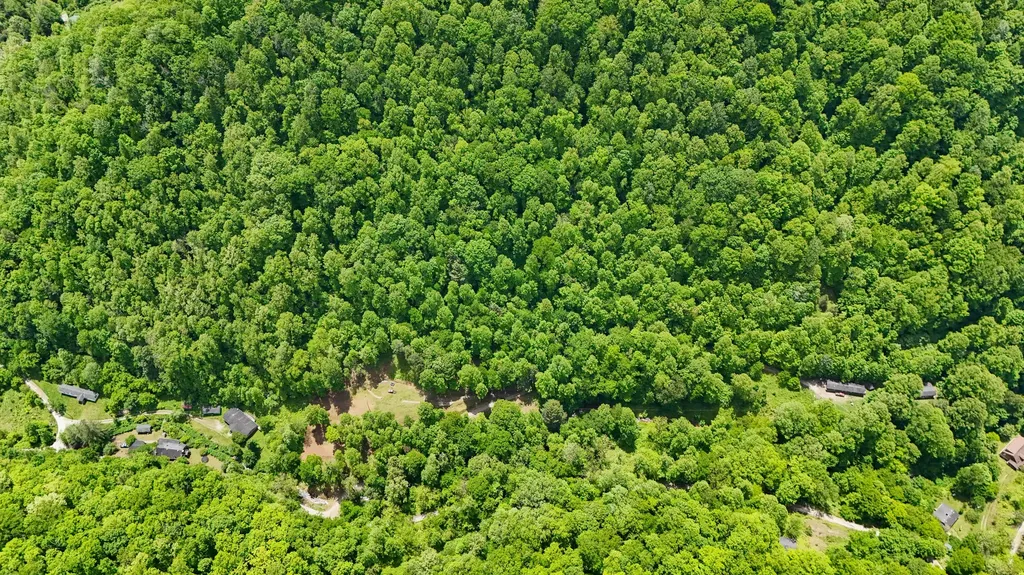 237 Sams Branch Road Warbranch KY 40874