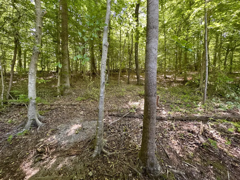 432 N Lake Drive Burnside KY 42519