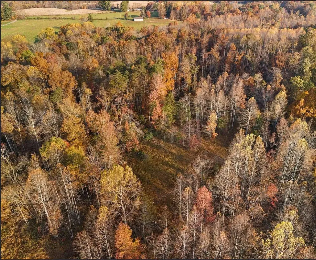 210 Singleton School Road Eubank KY 42567