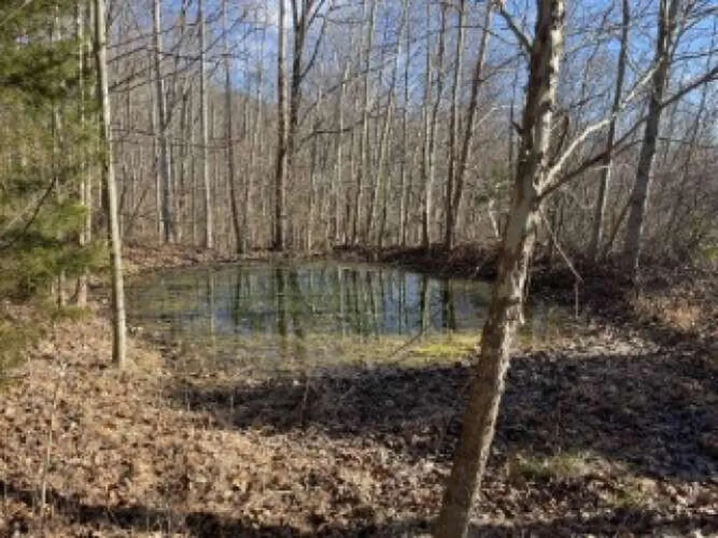 210 Singleton School Road Eubank KY 42567