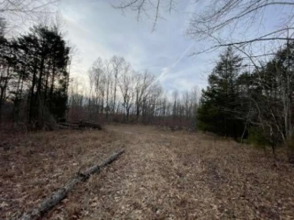 210 Singleton School Road Eubank KY 42567