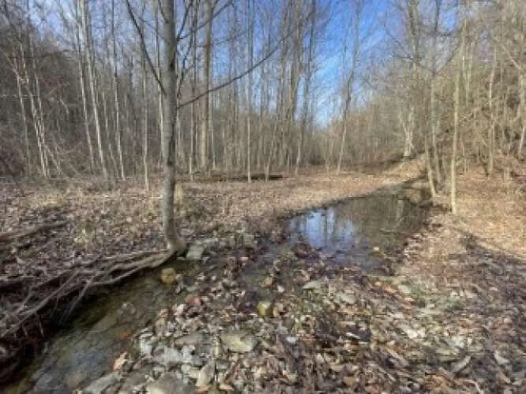 210 Singleton School Road Eubank KY 42567