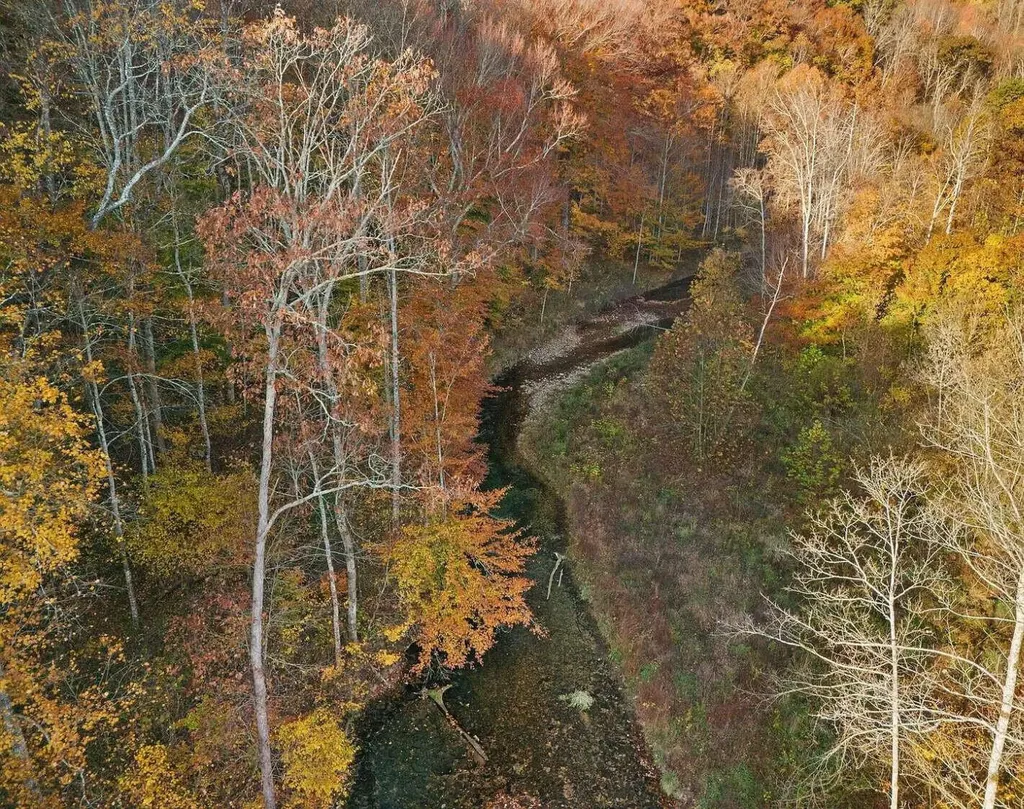 210 Singleton School Road Eubank KY 42567
