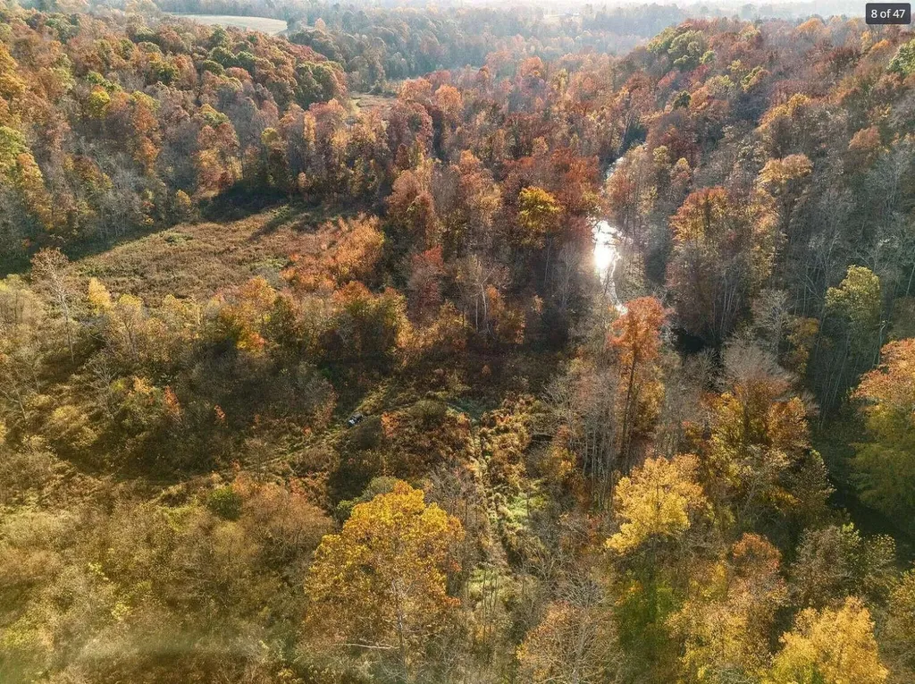 210 Singleton School Road Eubank KY 42567