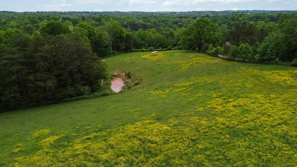 1224 Whitson School Road London KY 40741
