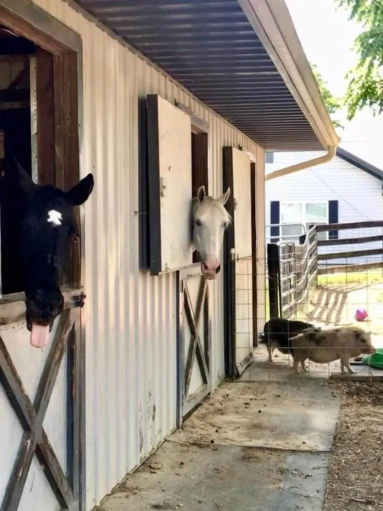154 Double Culvert Road Georgetown KY 40324