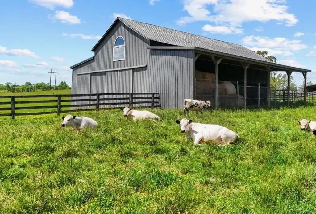 154 Double Culvert Road Georgetown KY 40324