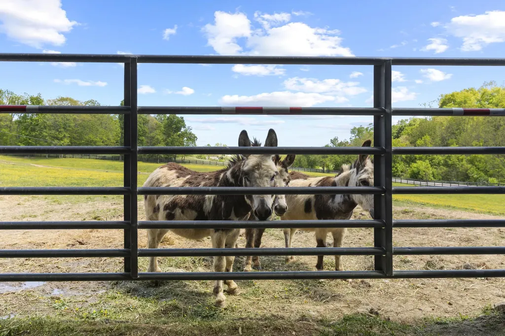154 Double Culvert Road Georgetown KY 40324