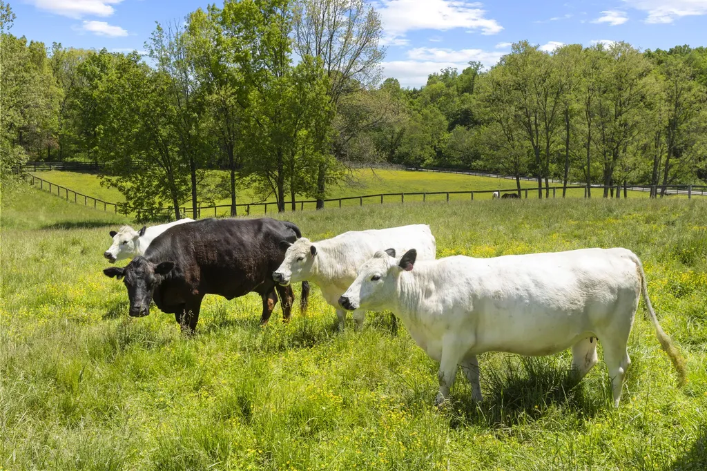 154 Double Culvert Road Georgetown KY 40324
