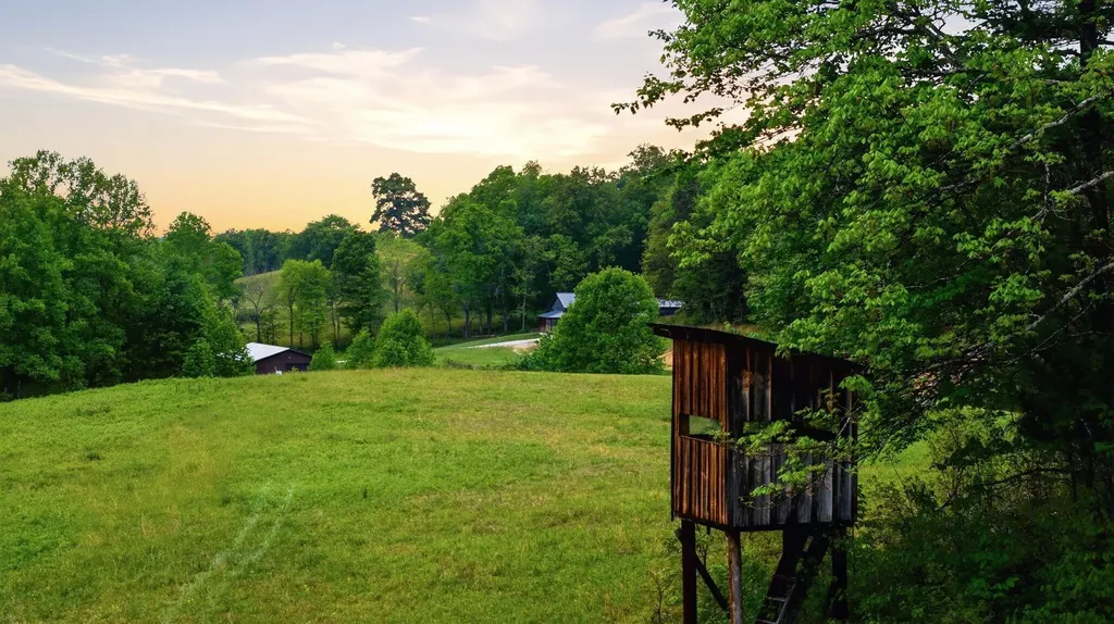 223 Hollin Road Tyner KY 40486