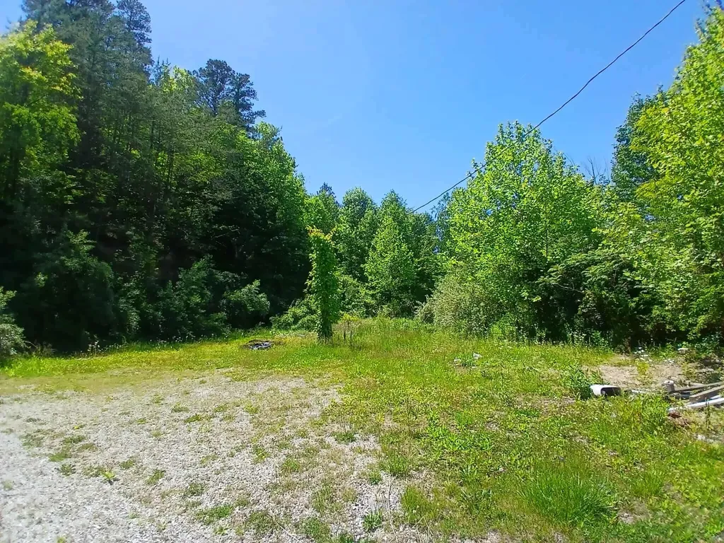 154 Arkle Road Gray KY 40734