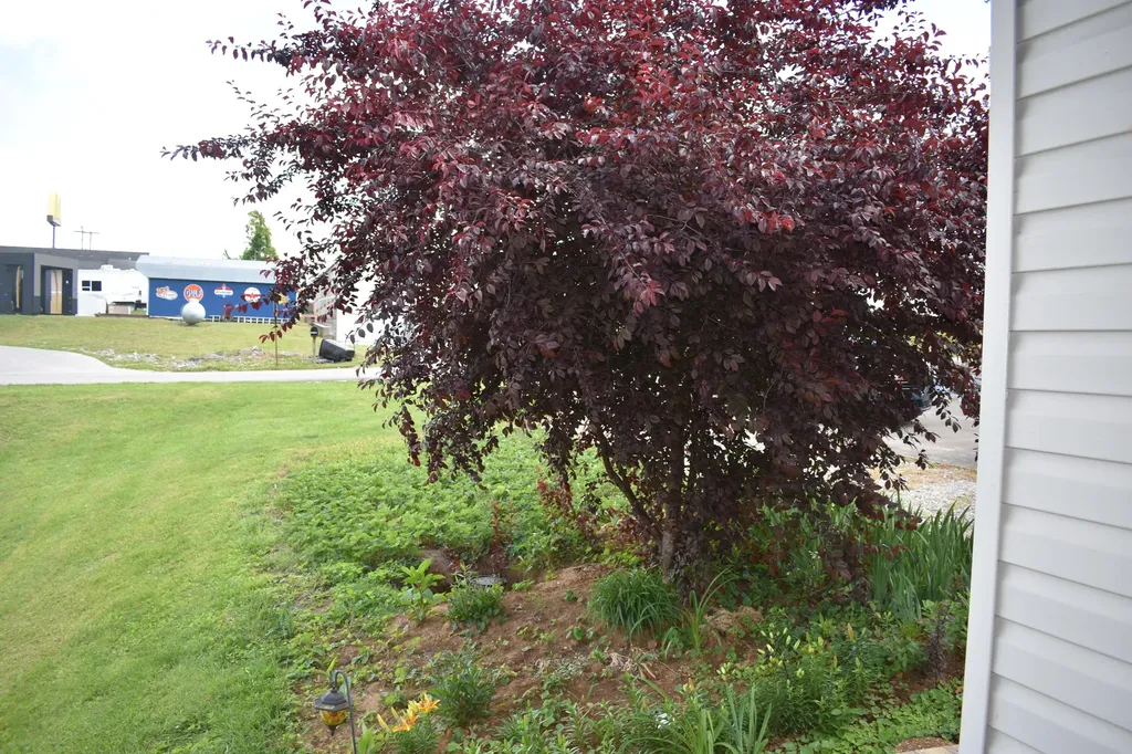 125 Bean Street Monticello KY 42633