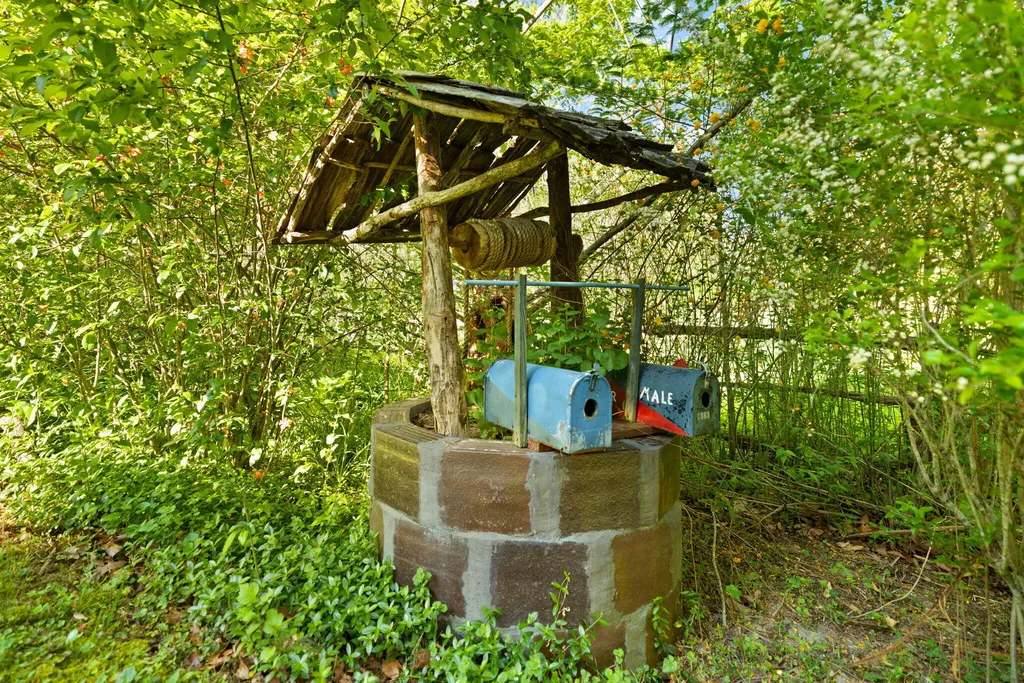 3853 Skidmore Road Frenchburg KY 40322