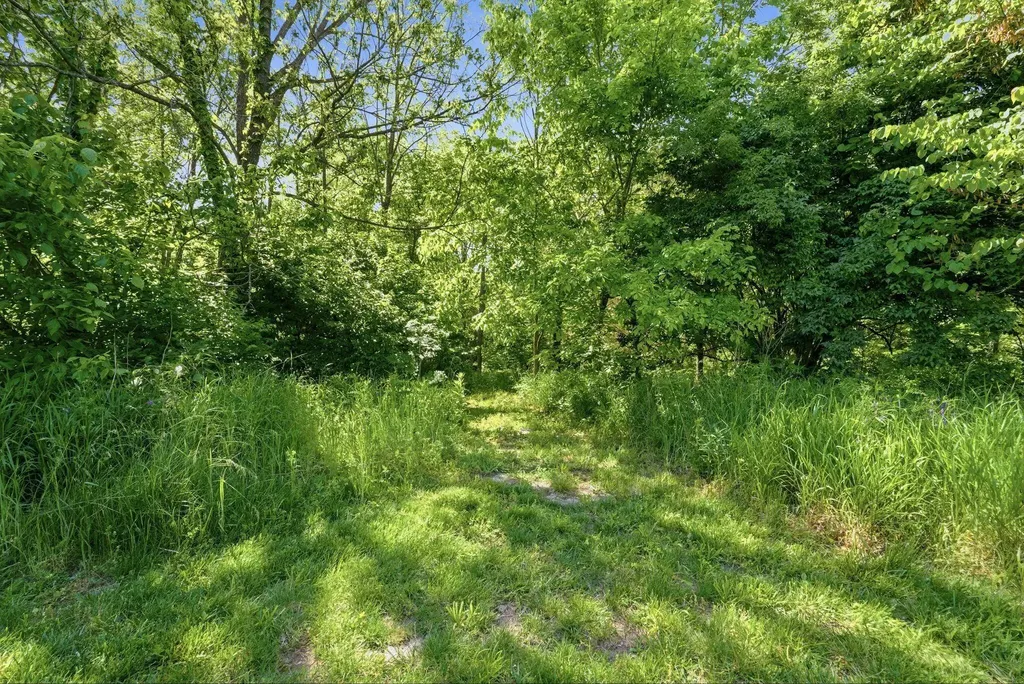 113 Rocky Creek Road Georgetown KY 40324