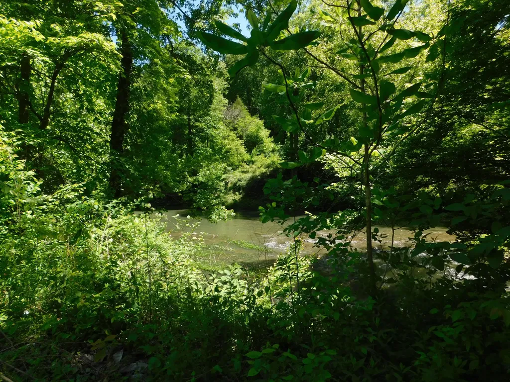 13070 N U.s. 119 Totz KY 40870