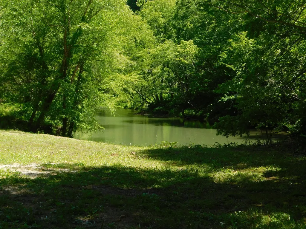 13070 N U.s. 119 Totz KY 40870
