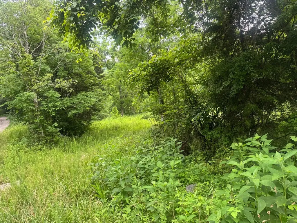 500 Hail Bridge Road Somerset KY 42501