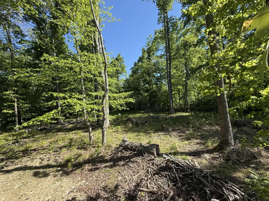 9999 Flatwoods School Road Crab Orchard KY 40419